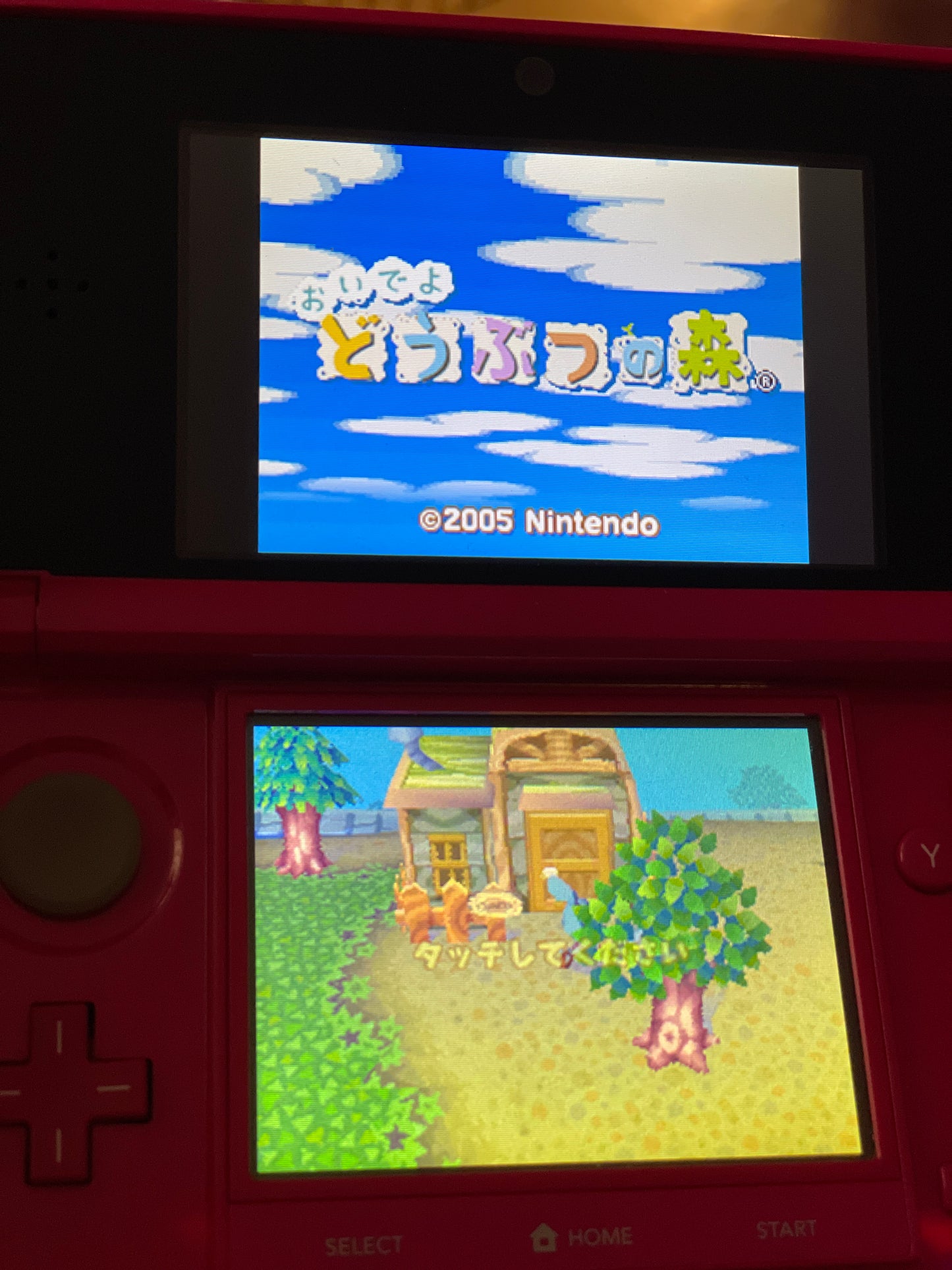 DS Animal Crossing: Wild World CIB