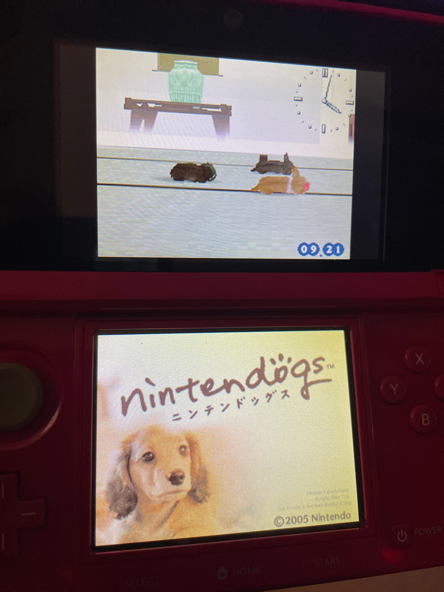 DS Nintendogs: Miniature Dachshund & Friends CIB